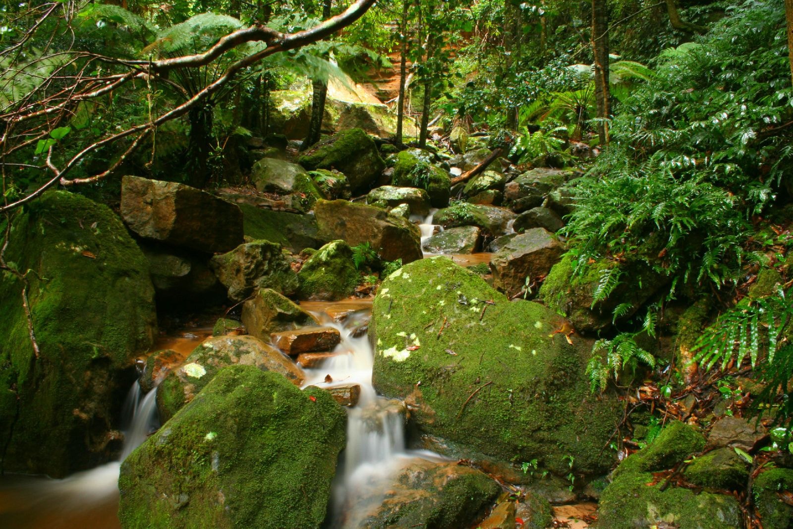 A mossy creek winding through the retreat gardens