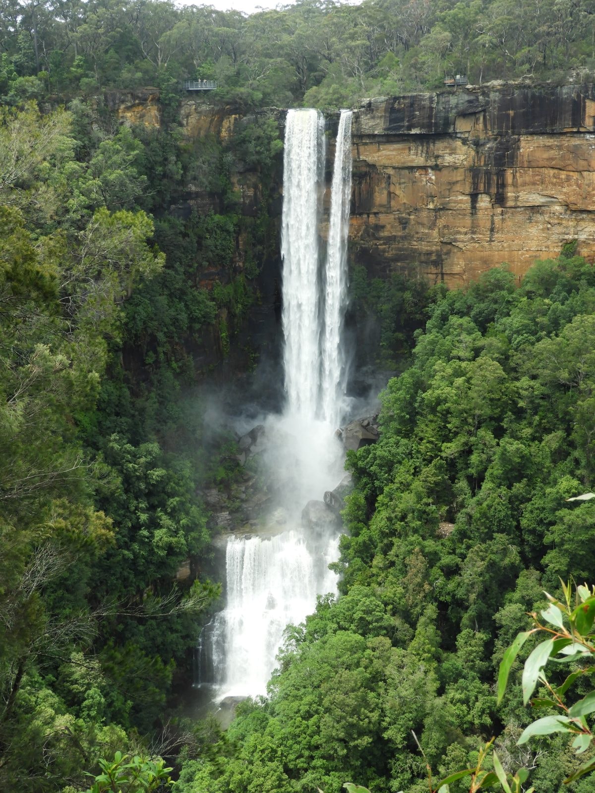 Nsw Falls
