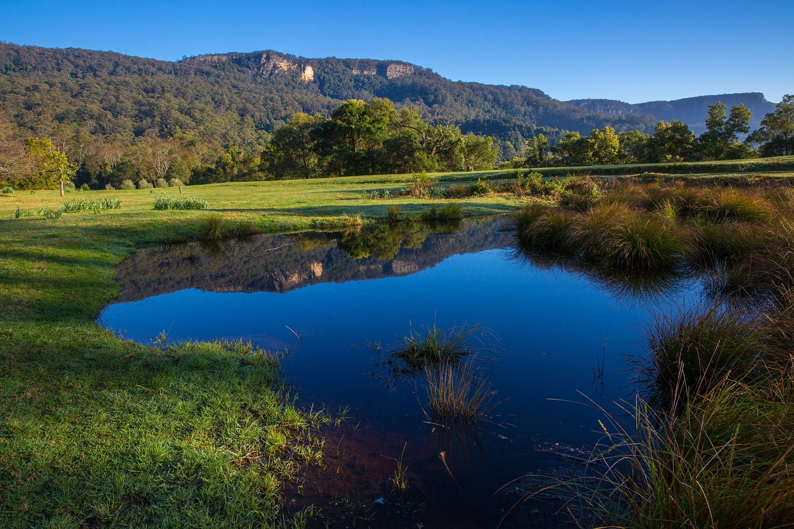 Nsw Valley